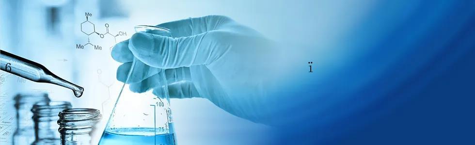 6�������������������Ƥ��