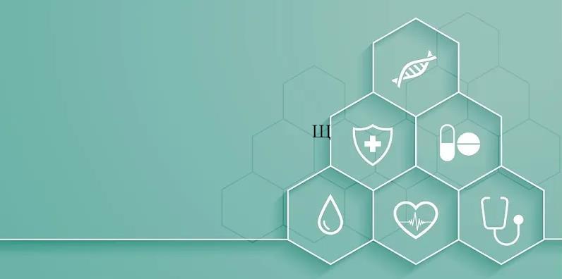 ������ţƤѢ���Է�Ϊ��Щ����